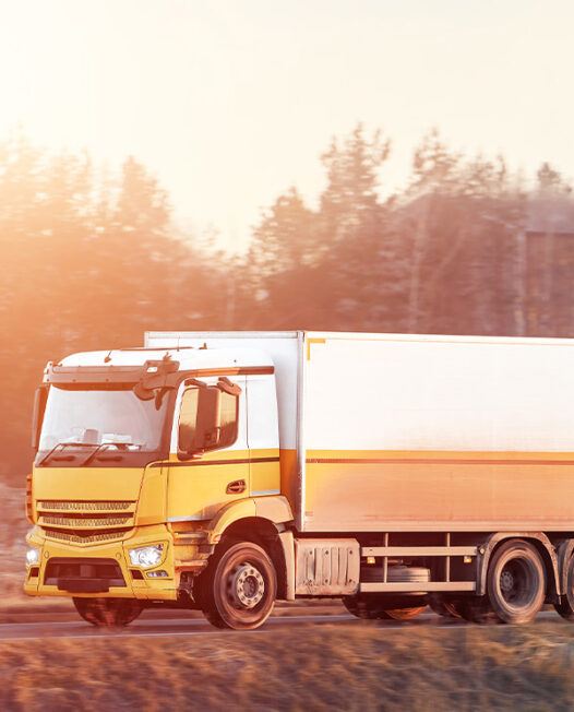 about-us professional vehicle service